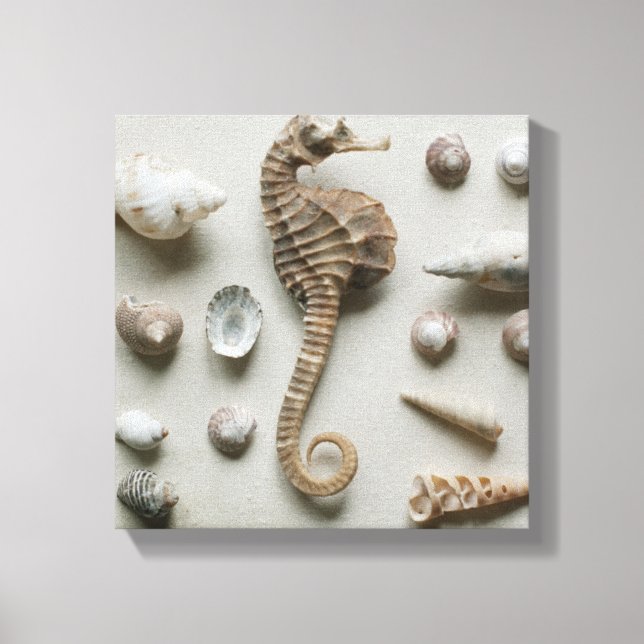 Lienzo Caballos De Mar Y Conchas (Anverso)