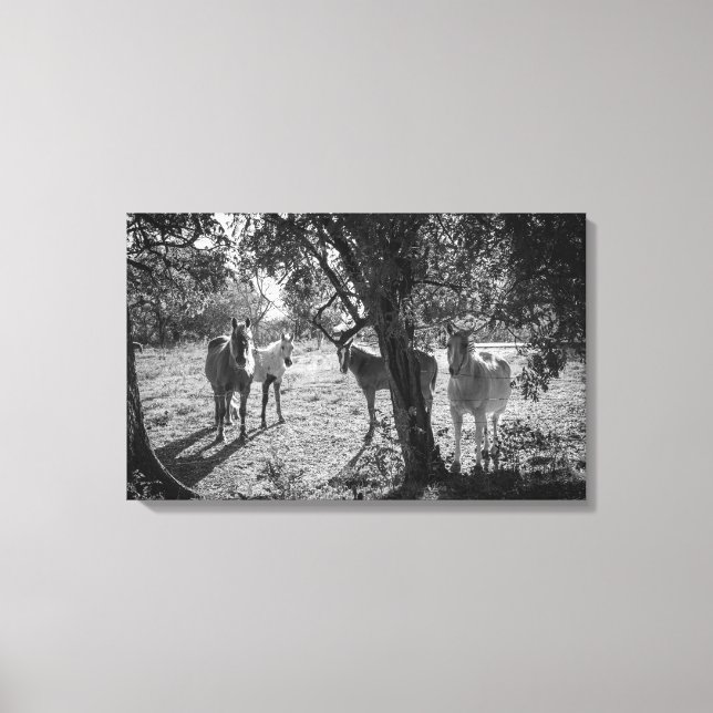 Lienzo Caballos en el campo (Anverso)