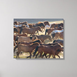 Lienzo Caballos en el rancho, Mongolia Interior, China