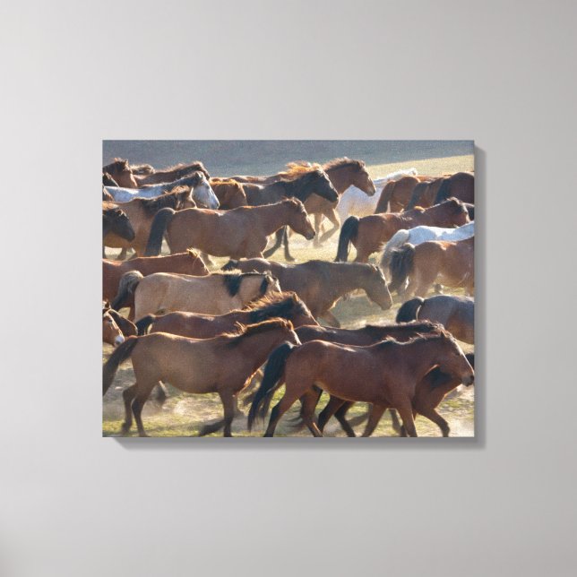 Lienzo Caballos en el rancho, Mongolia Interior, China (Anverso)