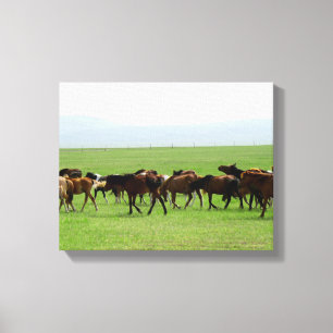 Lienzo Caballos en pastoreo - Fotografía paisajística