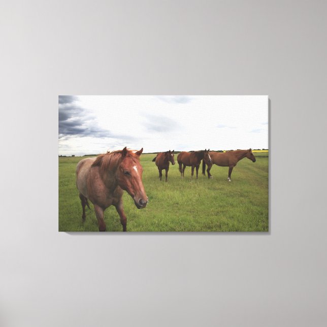 Lienzo Caballos En Un Campo (Anverso)
