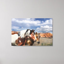 Lienzo Caballos Mustang en la naturaleza, Stallion y su y