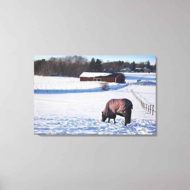 Lienzo Caballos pastoreando en un campo cubierto de nieve (Anverso)