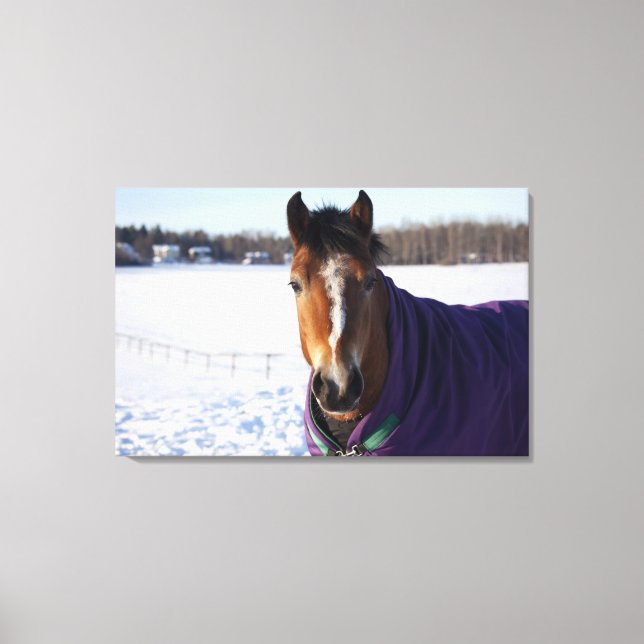 Lienzo Caballos pastoreando en un campo cubierto de nieve (Anverso)