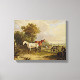 Lienzo Caballos que pastan: Un semental gris que pasta