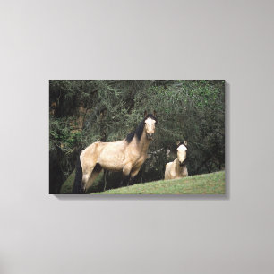 Lienzo Caballos salvajes 6 del mustango