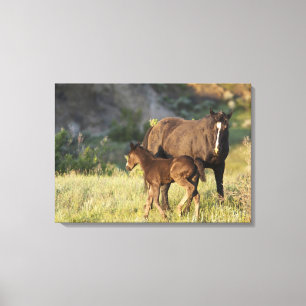 Lienzo Caballos salvajes en el Parque Nacional Theodore R