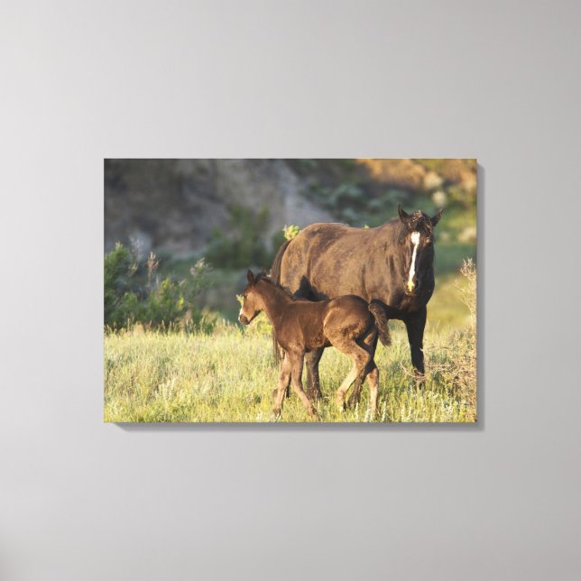 Lienzo Caballos salvajes en el Parque Nacional Theodore R (Anverso)