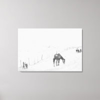 Caballos Salvajes Rurales Monocromos Negro Y Blanc
