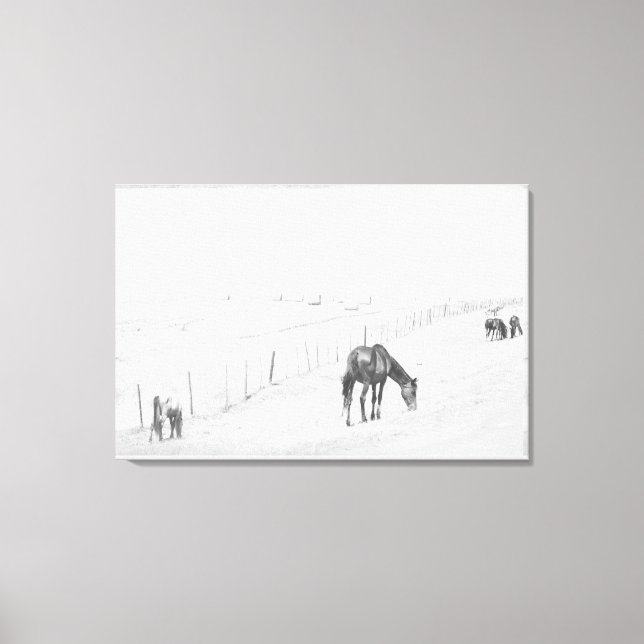 Lienzo Caballos Salvajes Rurales Monocromos Negro Y Blanc (Anverso)