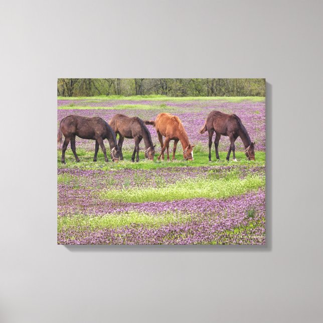 Lienzo Caballos tosados en el campo de las flores de henb (Anverso)