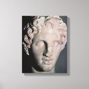 Lienzo Cabeza de Alexander el grande