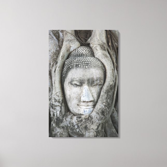 Lienzo Cabeza de Buda de arenisca rodeada de árbol (Anverso)