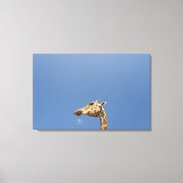 Lienzo Cabeza de Giraffe (Anverso)