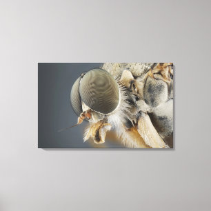 Lienzo Cabeza de la mosca del atacar desde un escondite