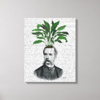 Cabeza de planta Aspidistra
