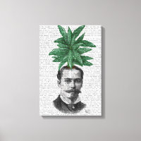 Cabeza de planta evergreen china