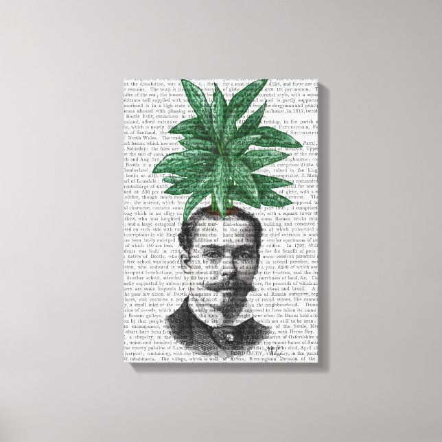 Lienzo Cabeza de planta evergreen china (Anverso)