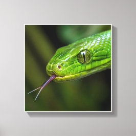 Lienzo Cabeza de serpiente verde