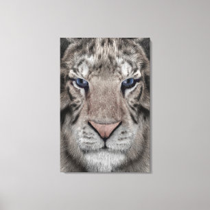 Lienzo Cabeza de Tigre Blanco Estética de Vida Silvestre