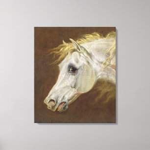 Lienzo Cabeza de un caballo árabe gris (aceite sobre lien