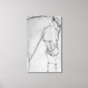 Lienzo Cabeza de un caballo, el álbum de Vallardi