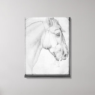 Lienzo Cabeza de un caballo, el álbum de Vallardi