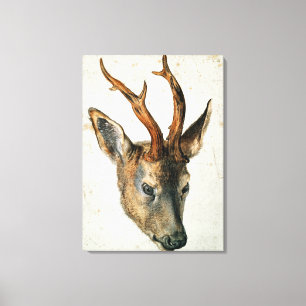 Lienzo Cabeza de un ciervo de huevas
