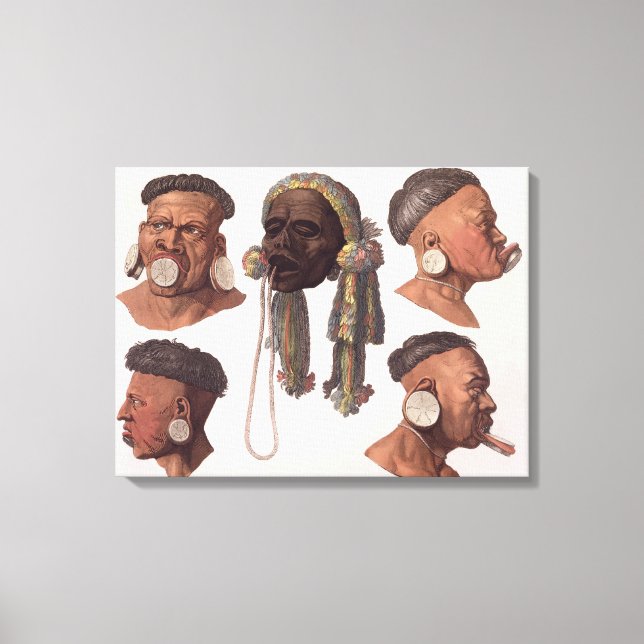 Lienzo Cabezas de botocudos indios (grabado de colores) (Anverso)