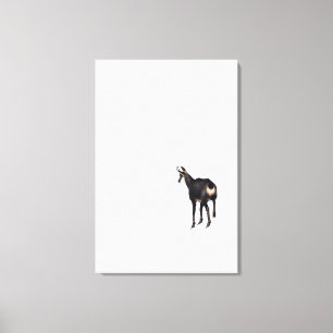 Lienzo Cabra alpina de montaña Chamois minimalista en la 