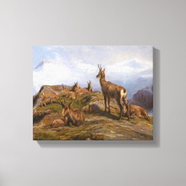 Lienzo Cabras Chamois en las montañas alpinas (Rosa Bonhe (Anverso)