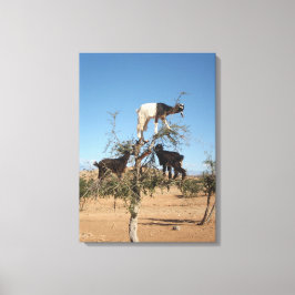 Lienzo Cabras divertidas en un árbol