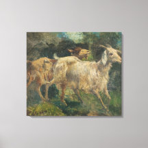 Cabras (por Vincenzo Caprile)