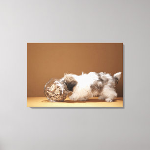 Lienzo Cachorro con cabeza en frasco de galletas