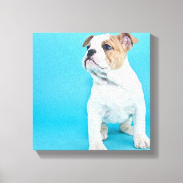 Lienzo Cachorro de Bulldog (Anverso)