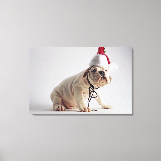 Lienzo Cachorro de bulldog con Sombrero Santa (Anverso)