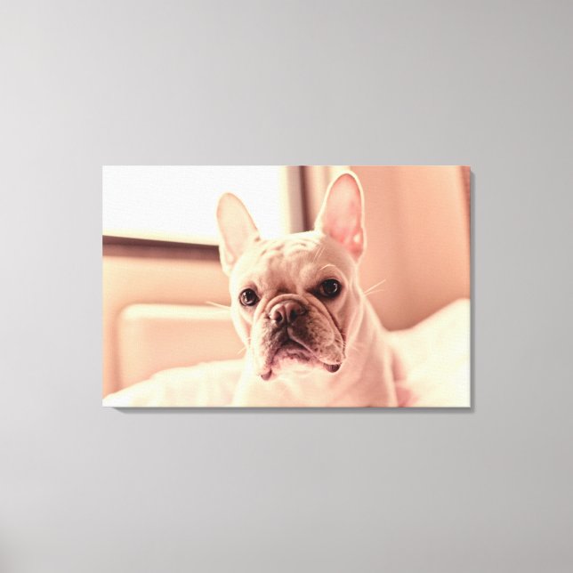 Lienzo Cachorro de Bulldog francés (Anverso)