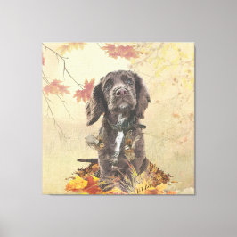 Lienzo Cachorro de coco de chocolate