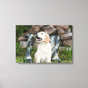 Lienzo Cachorro de Golden Retriever y botas de caza