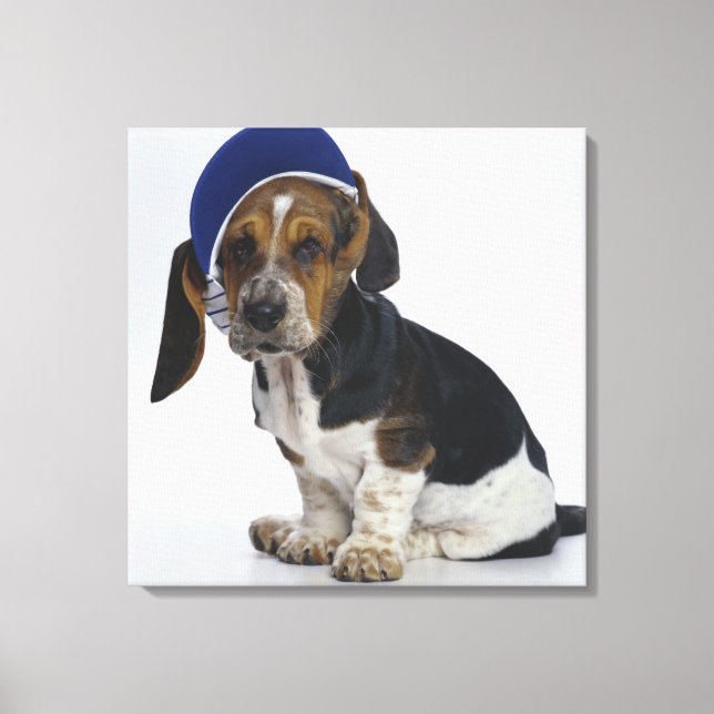 Lienzo Cachorro de paro basset con visera (Anverso)