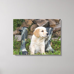 Lienzo cachorro de retriever dorado con botas