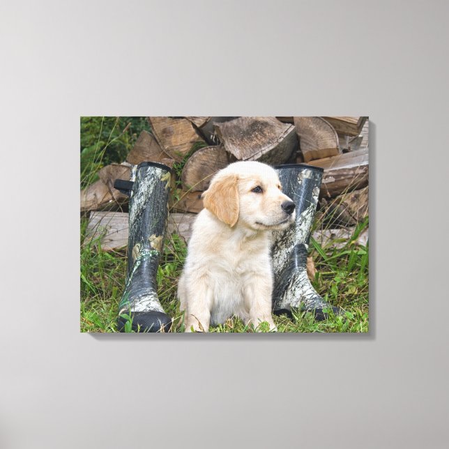 Lienzo cachorro de retriever dorado con botas (Anverso)