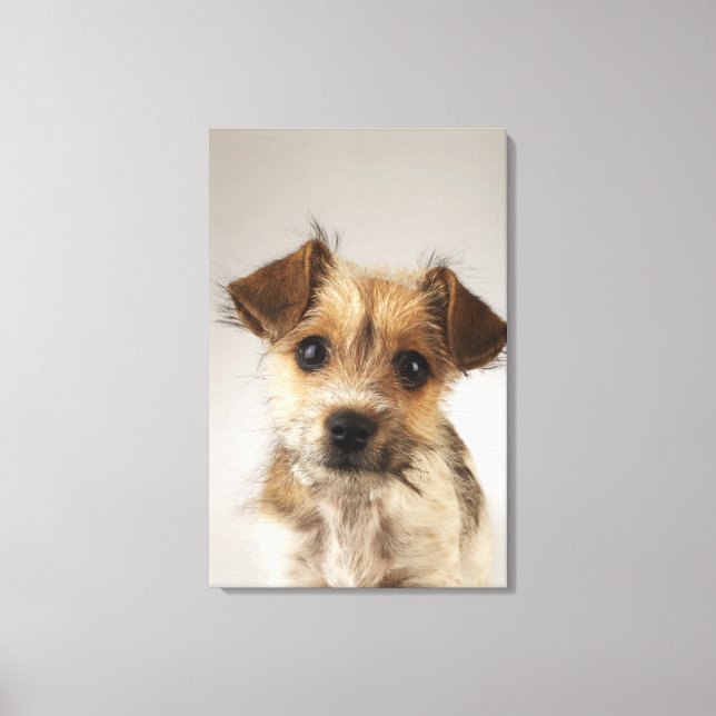 Lienzo Cachorros (Canis familiaris) 2 (Anverso)