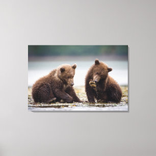 Lienzo Cachorros de oso pardo junto al arroyo