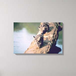 Lienzo Cachorros del leopardo en registro