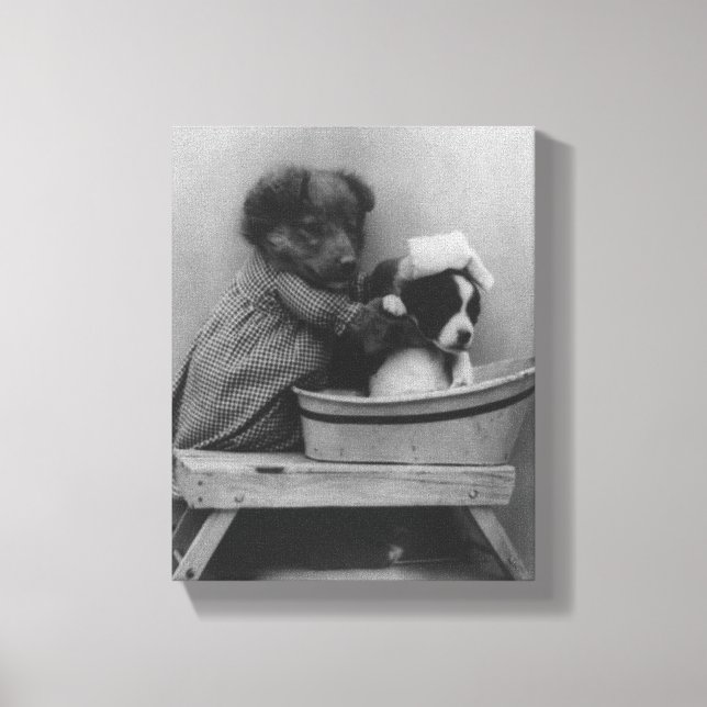Lienzo Cachorros vintage | Graciosa foto de baño de perro (Anverso)