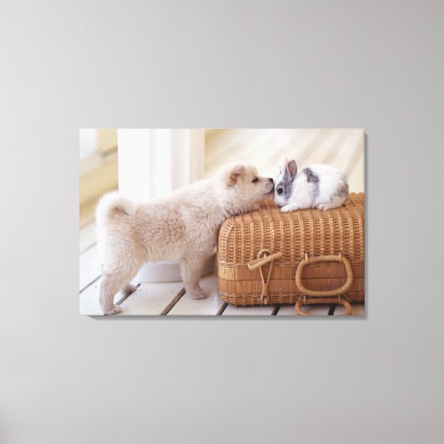 Lienzo Cachorros y conejos (Anverso)