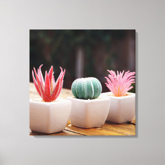 Lienzo Cactus