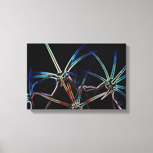 Lienzo Cactus 1 16,50x11 (41,25x27,5cm)